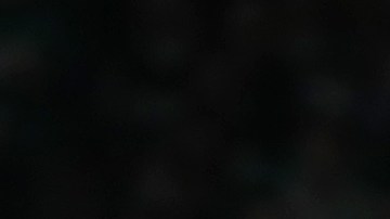 Evan Fournier aterriza en Boston