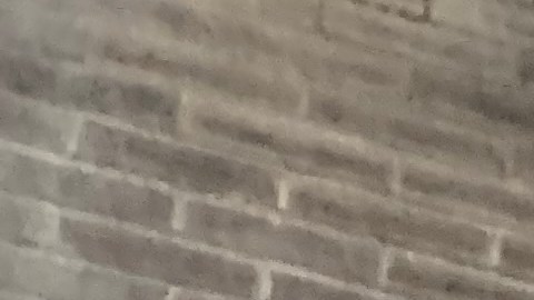 Neoyorquinos celebrarán Semana Santa con iglesias abiertas con límites y ceremonias virtuales