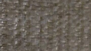 abusos USC ginecologo