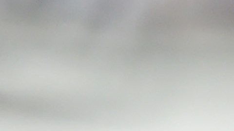 Les Miles