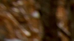 Tormenta de nieve en Denver Colorado