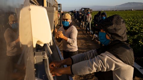 Trabajadores agrícolas migrantes en Greenfield, California.