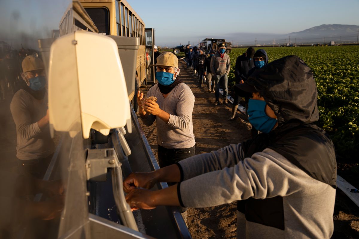 Trabajadores agrícolas migrantes en Greenfield, California.  