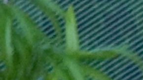 Cerrarán cuentas inactivas a partir de abril 2025