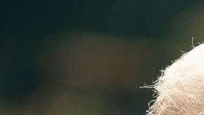 La expareja presidencial.