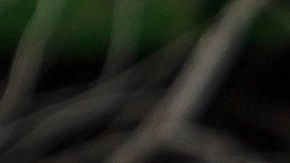 La pareja presidencial muestra constantemente el cariño que se tienen.