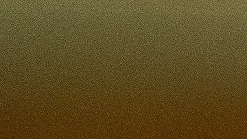 Senador Bernie Sanders