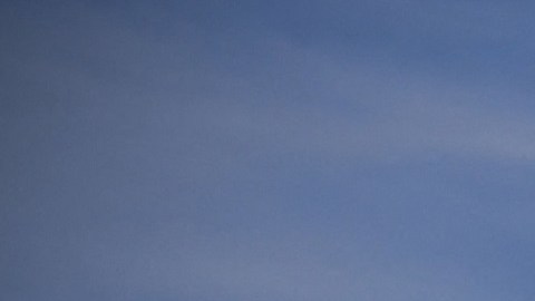 Biden tropezó el 19 de marzo al subir al Air Force One.