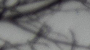 Tiroteo supermercado Colorado