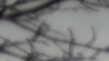 Tiroteo supermercado Colorado