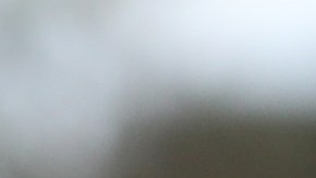 Novak Djokovic sostiene el trofeo del Abierto de Australia.