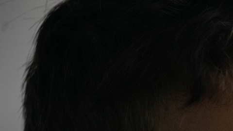 Extraoficialmente, 10,500 niños procesados en esta emergencia fronteriza están en refugios y hogares de los estados.