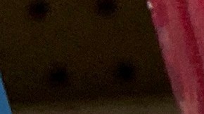 Congresistas exigen el retiro del collar antipulgas de SerestoGettyImages-1305179142.jpeg