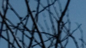 Puedo recibir un tercer cheque de estímulo si cobro los beneficios por desempleoGettyImages-1306383664.jpeg