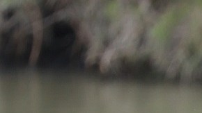 Un grupo de republicanos acudió a la frontera.