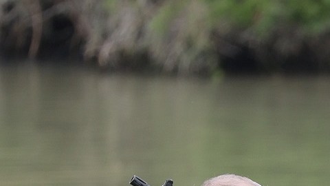 Un grupo de republicanos acudió a la frontera.