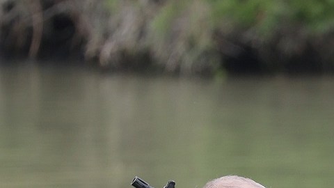 Un grupo de republicanos acudió a la frontera.