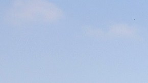 Ted Cruz acudió a la frontera en Texas.