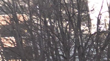 Inició el juicio por la muerte de George Floyd.