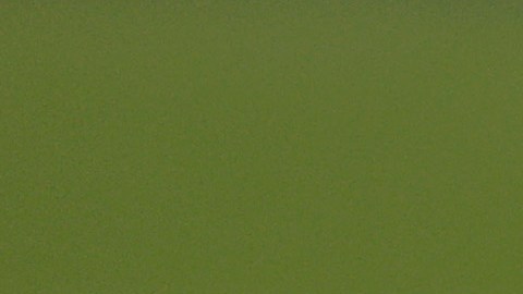 Timo Werner, de Alemania, no puede creer luego de fallar el posible gol del triunfo.