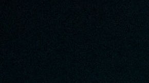 Pharrell Williams y su familia están de luto.