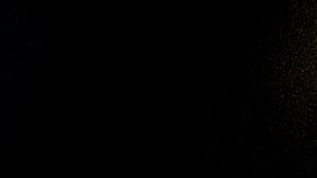 El head Coah de los Dallas Mavericks, junto a Shawn Bradley