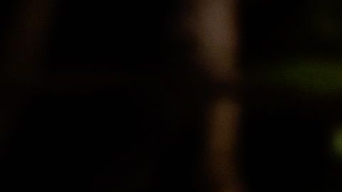 Selena Quintanilla fue asesinada un 31 de marzo de 1995.