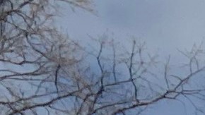 Huelga de hambre por trabajadores inmigrantes de Nueva York.