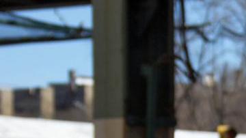 Mino Lora, artista y activista, busca la curul por el Distrito 11 de El Bronx al Concejo Municipal que dejó vacía el concejal demócrata Andy Cohen