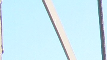 Ha pasado un año de pandemia y en concreto los trabajadores esenciales no han tenido un solo alivio económico.