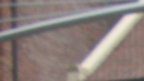 Las mexicanas Sandra Mejías y Cecilia Dávila son apenas dos rostros que describen esta realidad.