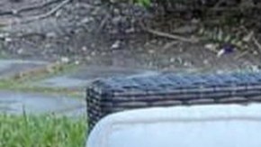 Lili Estefan coquetea con Eduardo Yañez en pleno programa