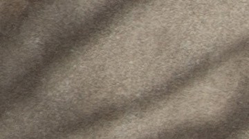 La herramienta ¿Dónde está mi reembolso? proporciona una fecha personalizada después de que se procesa la declaración y se aprueba un reembolso.