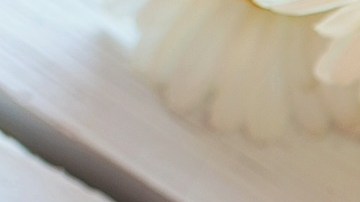 Manojo de zanahorias para bajar de peso