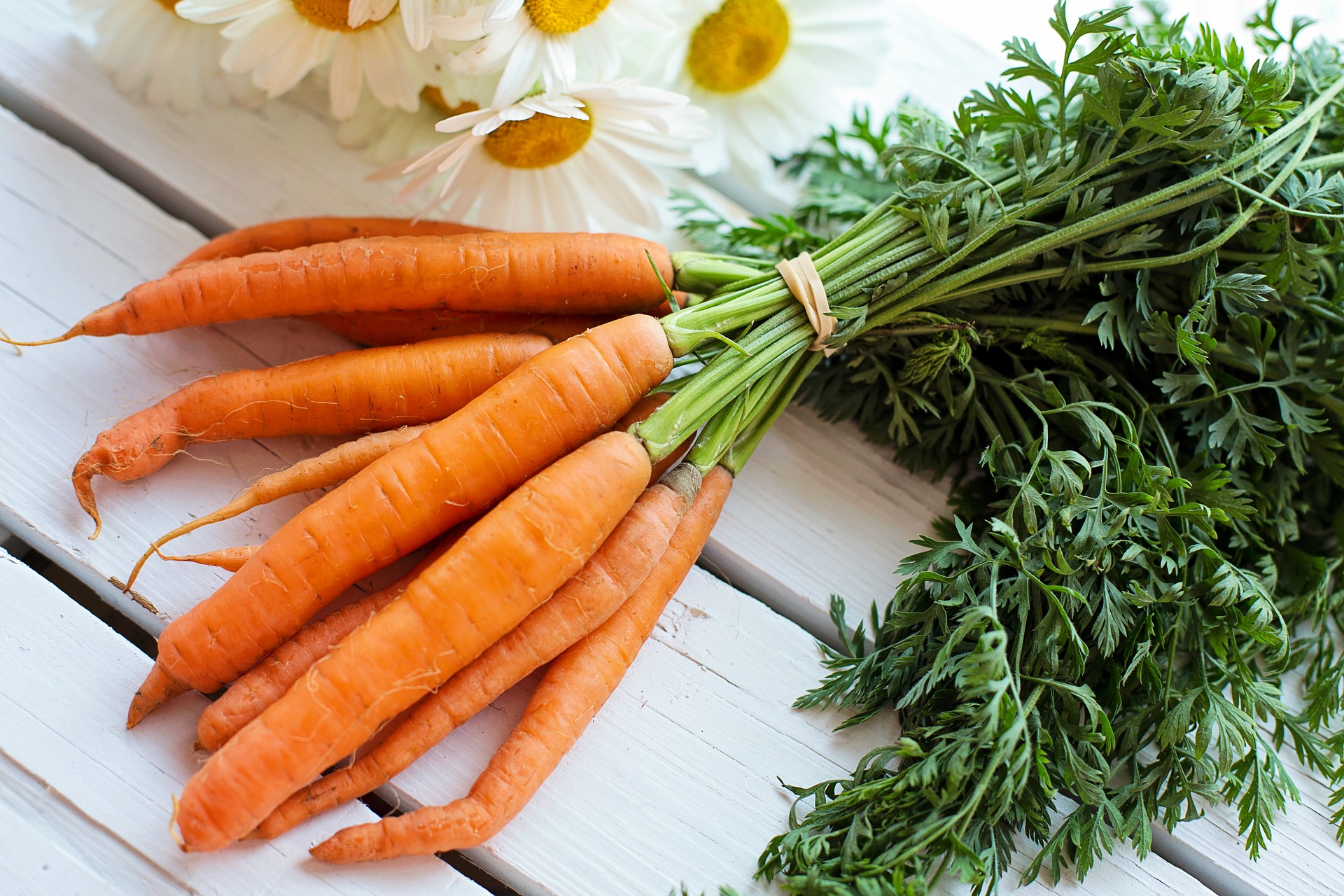 Manojo de zanahorias para bajar de peso