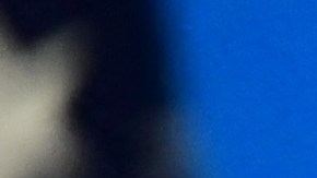 US soccer player Megan Rapinoe speaks during an Equal Pay Day event in the South Court Auditorium of the White House in Washington, DC on March 24, 2021. (Photo by JIM WATSON / AFP) (Photo by JIM WATSON/AFP via Getty Images)