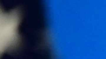 US soccer player Megan Rapinoe speaks during an Equal Pay Day event in the South Court Auditorium of the White House in Washington, DC on March 24, 2021. (Photo by JIM WATSON / AFP) (Photo by JIM WATSON/AFP via Getty Images)