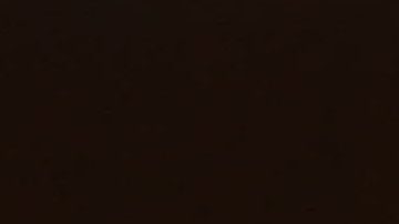 La reina Isabel II, Meghan Markle, Príncipe Harry, Príncipe William y Kate Middleton.