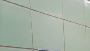 Meisha Ross Porter se estrenó como jefe de las escuelas de NYC visitando la PS 15, en Brooklyn