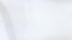 Pan blanco-pan integral