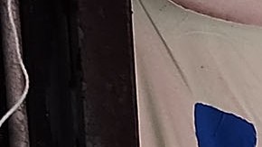 Muchos pequeños negocios no pueden cumplir con las infracciones debido a las dificultades presentadas por el COVID-19.