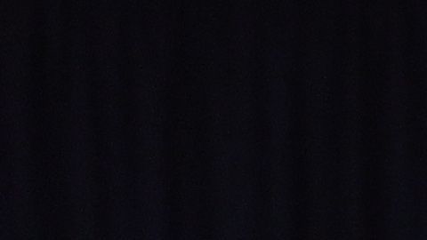 En marzo 2 del 2020, el Alcalde, el Gobernador y el comisionado de Salud del Estado, dieron la primera rueda de prensa juntos sobre el primer caso de COVID-19 en NYC.