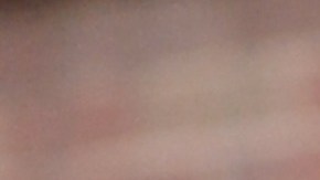 El príncipe Harry consigue trabajo.