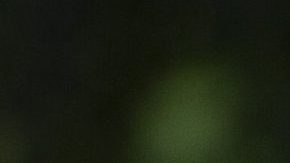 El príncipe William es elegido como "El calvo más sexy del mundo".