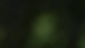 El príncipe William es elegido como "El calvo más sexy del mundo".