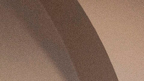 Reunión telemática entre Joe Biden y Andrés Manuel López Obrador