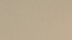 Paris Hilton y Carter Reum celebran a lo grande el fin de su soltería desde Las Vegas y con tremenda fiesta.