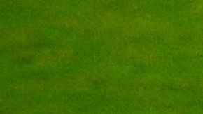 La debacle de Alemania