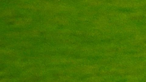 La debacle de Alemania