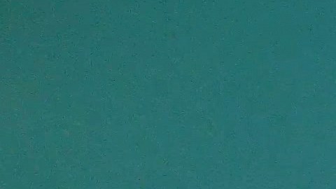 Con tributos despidieron a la surfista salvadoreña Katherine Díaz